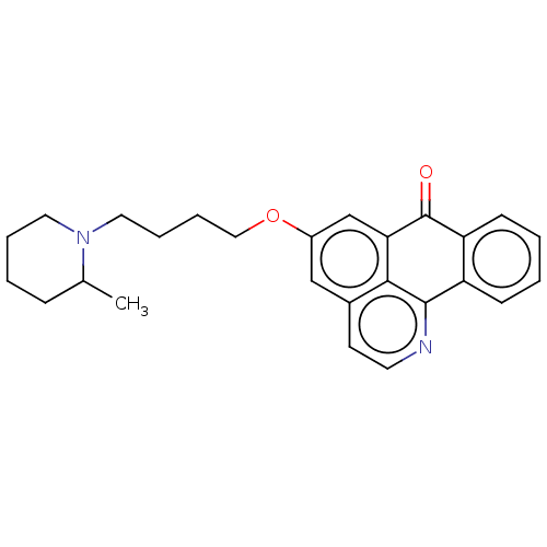 PNG