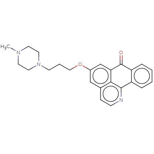 PNG