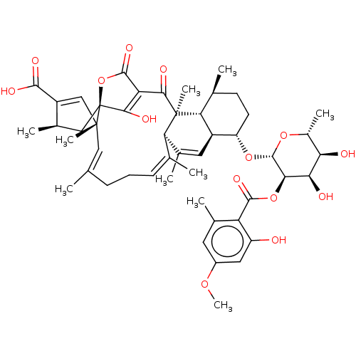 PNG