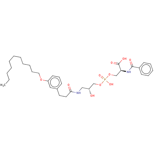 PNG