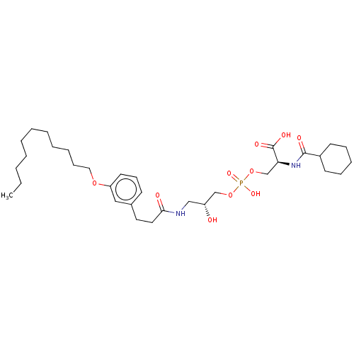 PNG