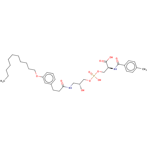 PNG