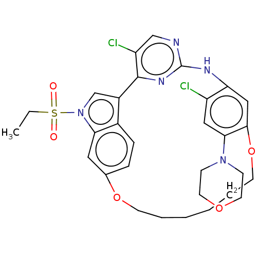 PNG