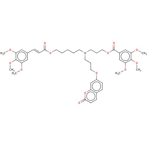 PNG