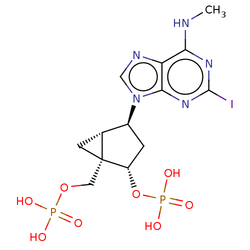 PNG