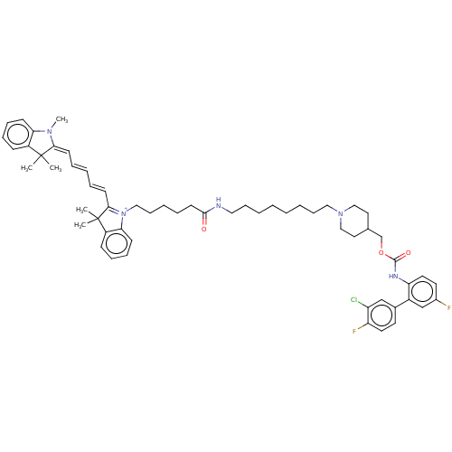 PNG