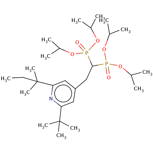 PNG