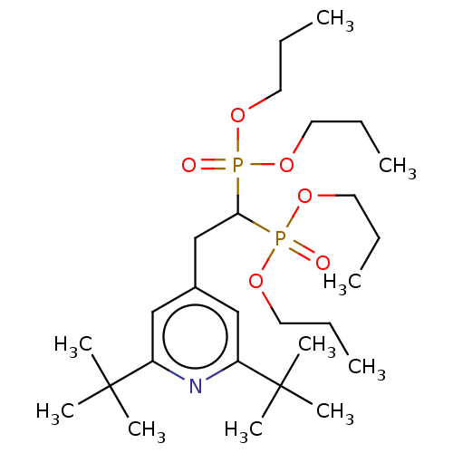 PNG