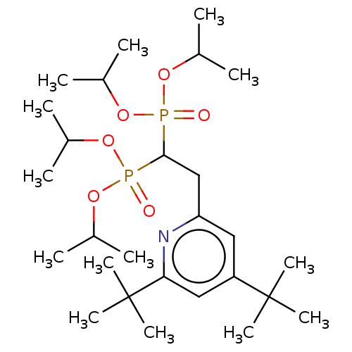 PNG