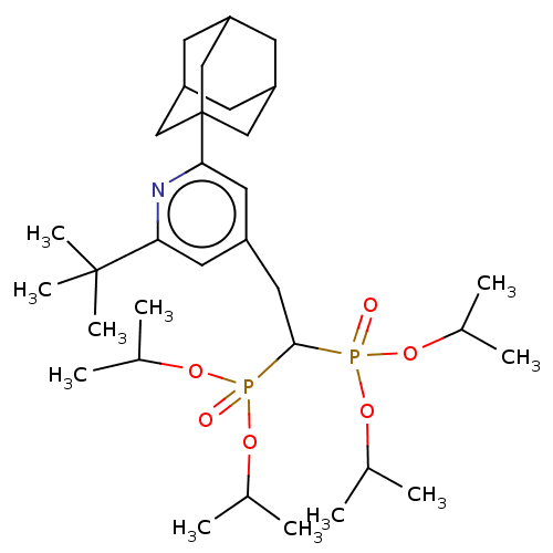 PNG