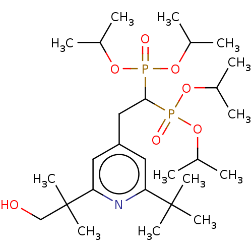 PNG