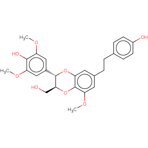 PNG