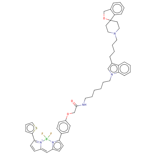 PNG