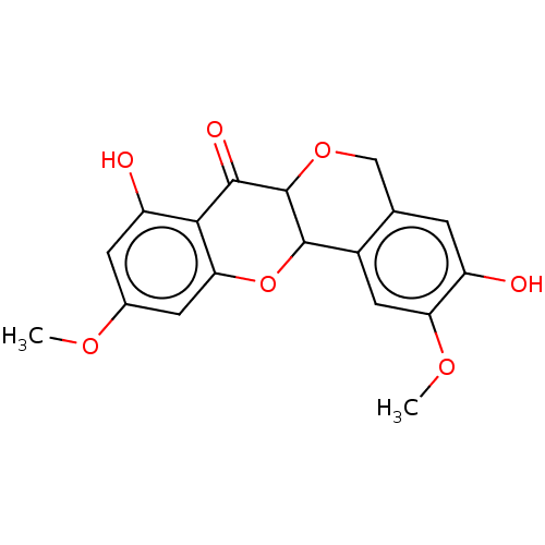 PNG