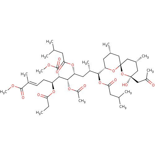 PNG