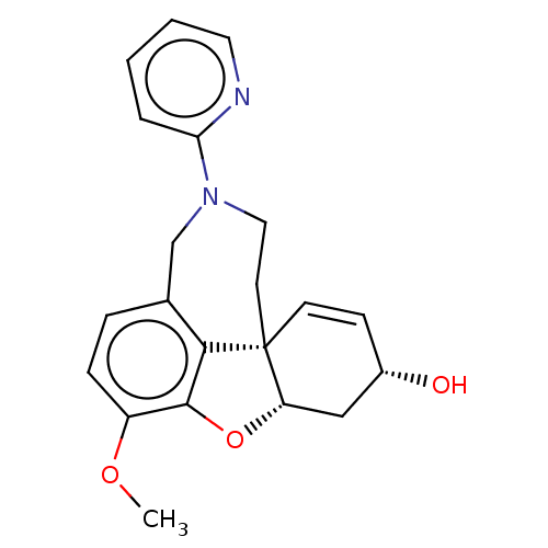 PNG