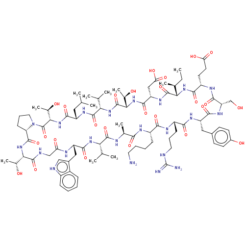 PNG