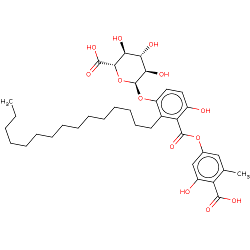 PNG
