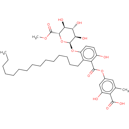 PNG