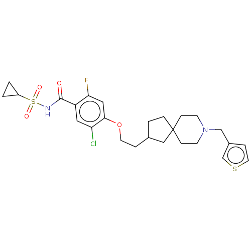 PNG