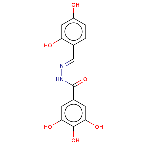 PNG