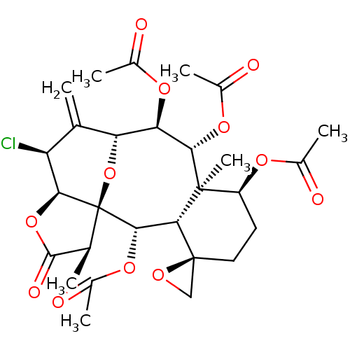 PNG