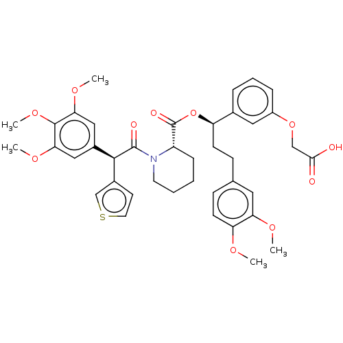 PNG