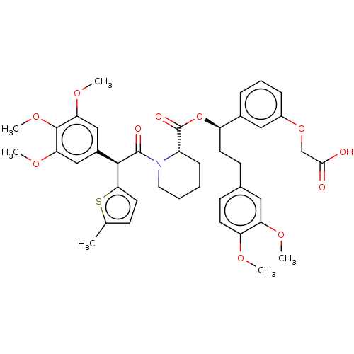 PNG