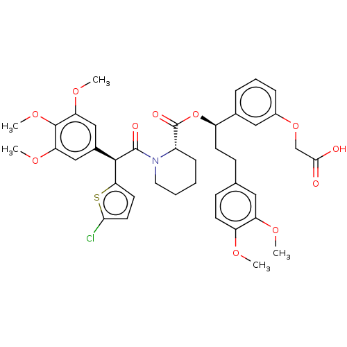 PNG