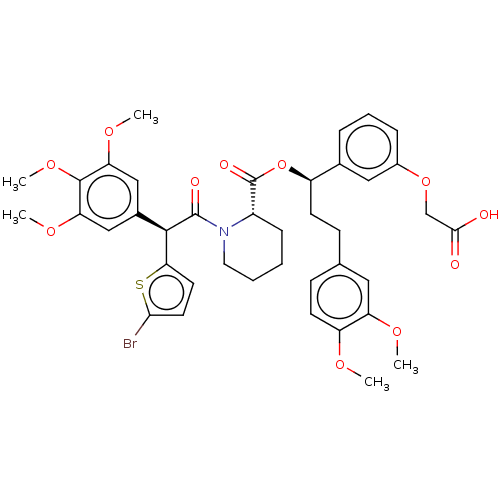 PNG