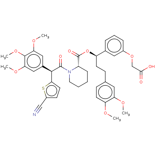 PNG