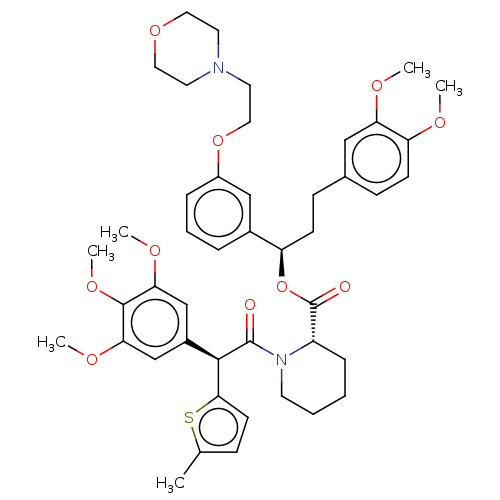 PNG