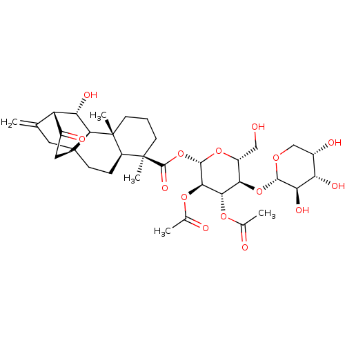 PNG