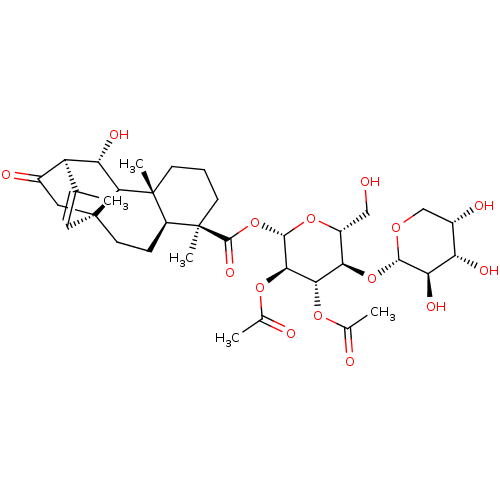 PNG