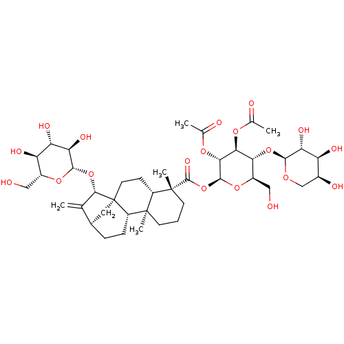 PNG