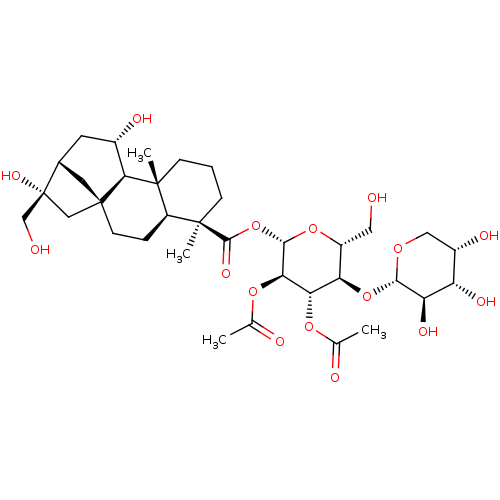 PNG