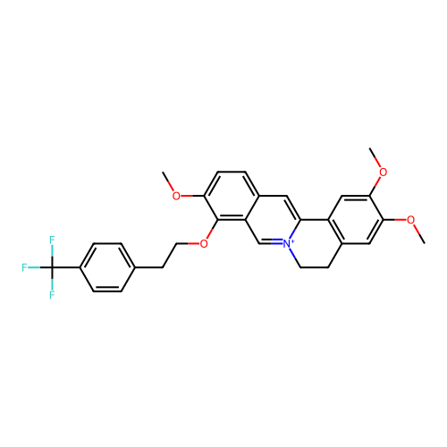 PNG