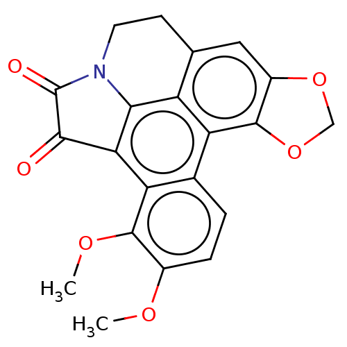 PNG
