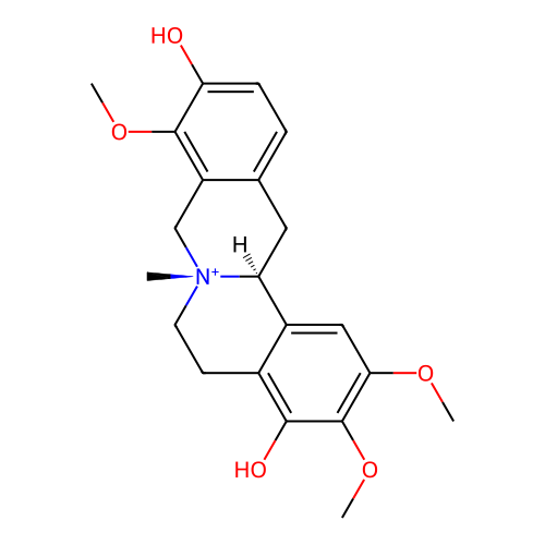 PNG