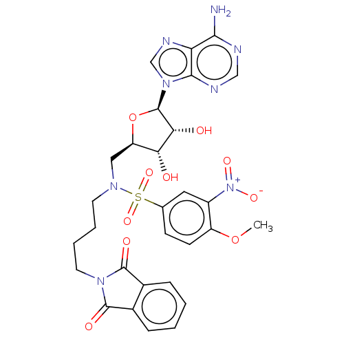 PNG