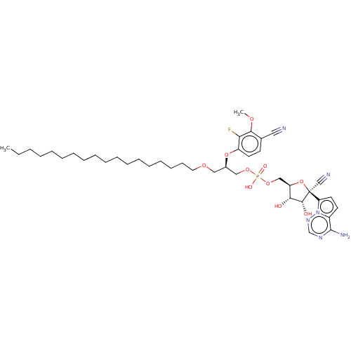 PNG