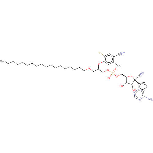 PNG