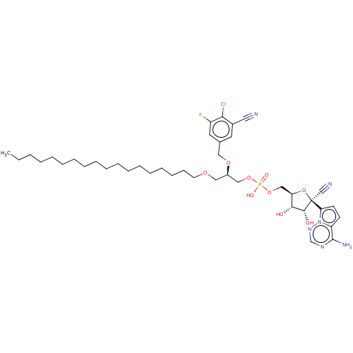 PNG