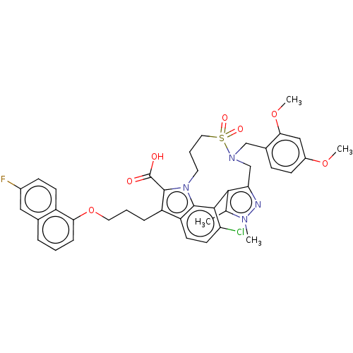 PNG