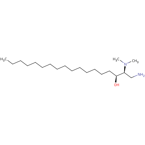 PNG