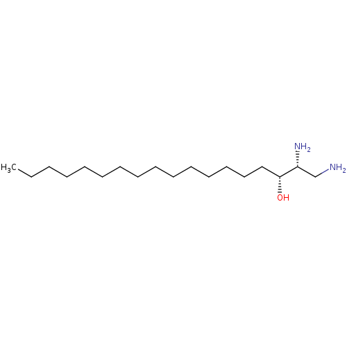 PNG