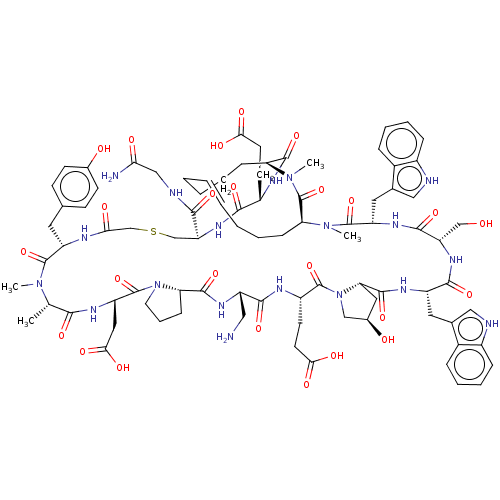 PNG