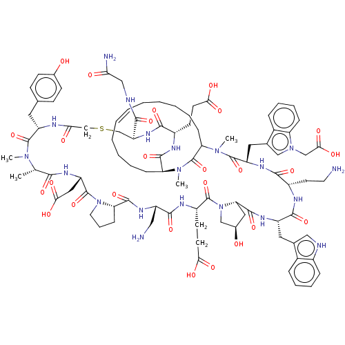 PNG