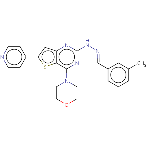 PNG