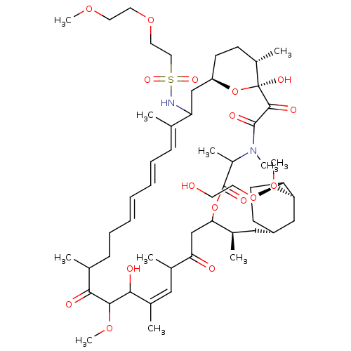 PNG